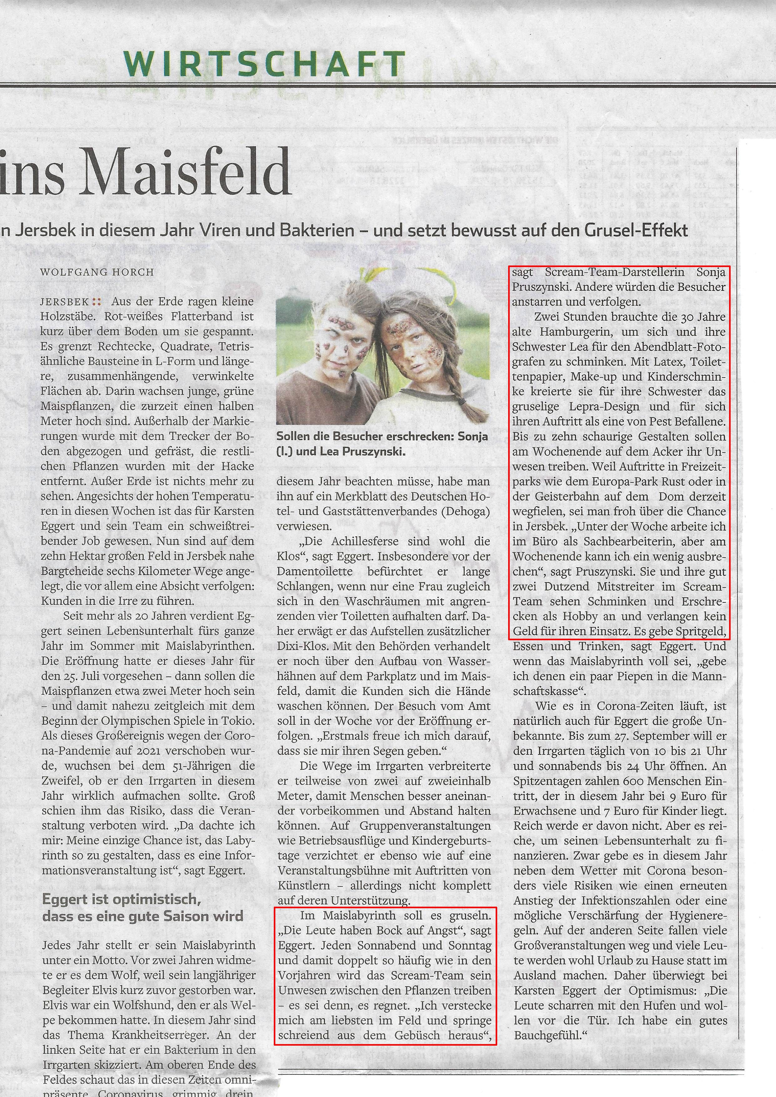 Bild des Zeitungsartikel aus dem Hamburger Abendblatt mit dem Titel Zur Corona-Jagd ins Maisfeld vom 26.06.2020 über das ScreamTeam